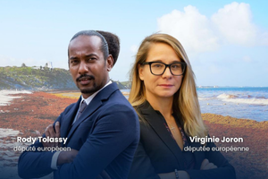 Algues sargasses Guadeloupe – Mission européenne