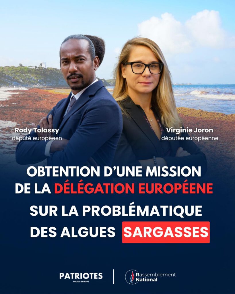 Rody TOLASSY annonce une mission européenne en Guadeloupe pour la problématique des algues sargasses