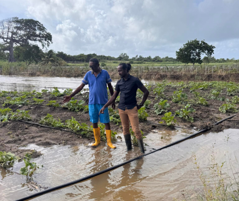 Rody Tolassy, député, échange avec un agriculteur sur son exploitation agricole